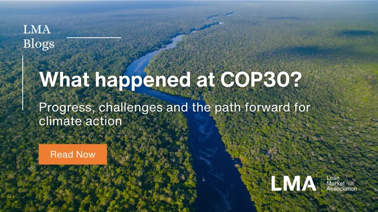 What happened at COP30?